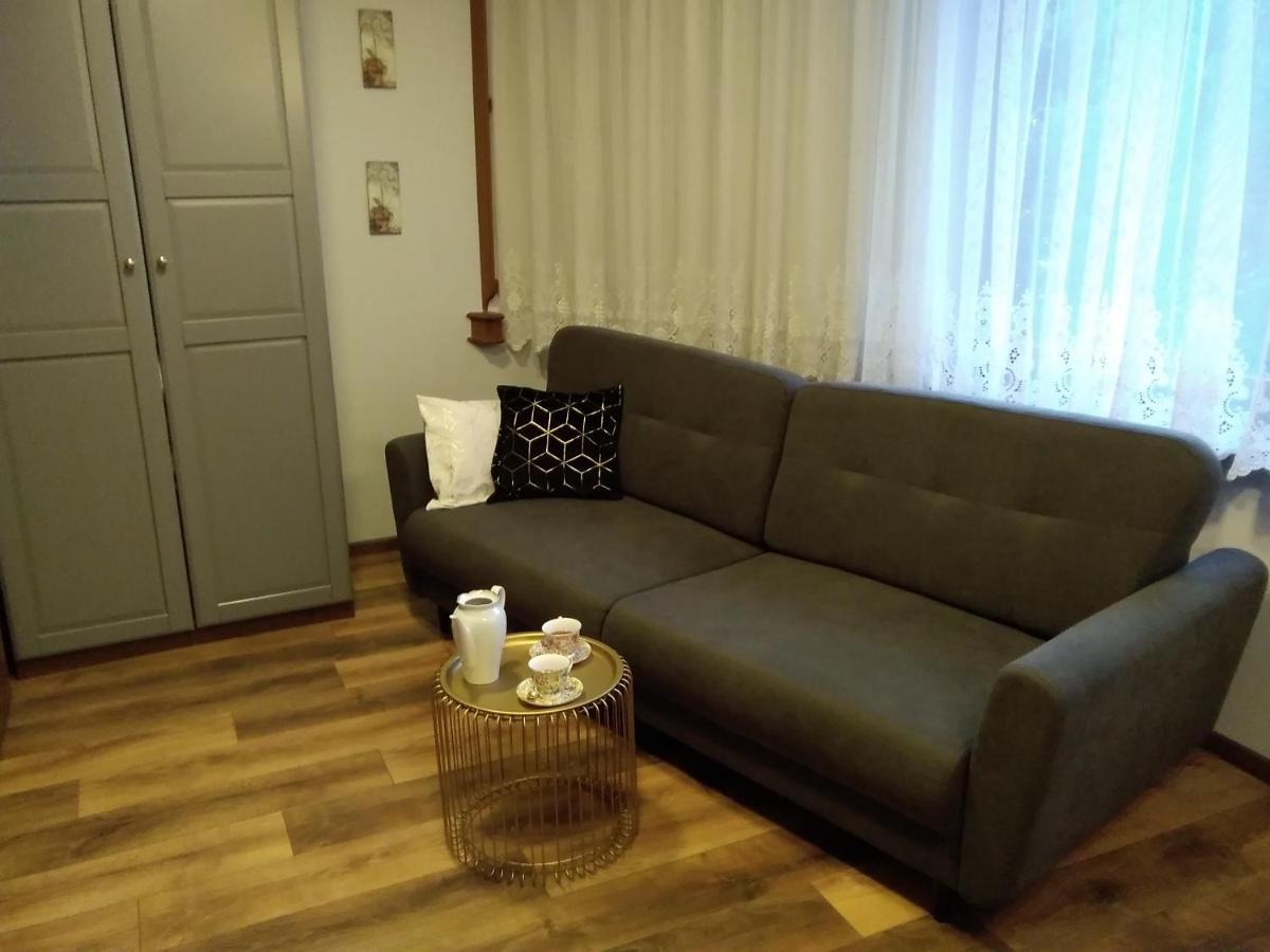 Secesja House Διαμέρισμα Oświęcim Εξωτερικό φωτογραφία